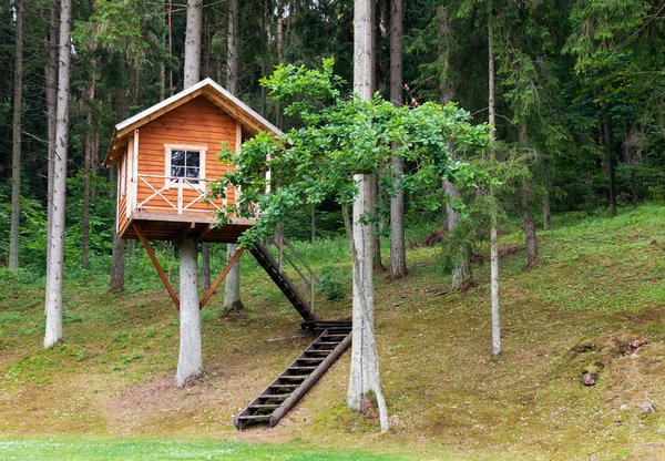 Plongez dans la nature : les merveilles de l'hébergement dans les arbres