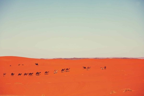 Le voyage en caravane : comment le réussir ?